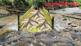 Download Lagu An ancient fishing method has brought unexpected results on Ana's fishing trip. MP3 Download Lagu An ancient fishing method has brought unexpected results on Ana's fishing trip. MP3