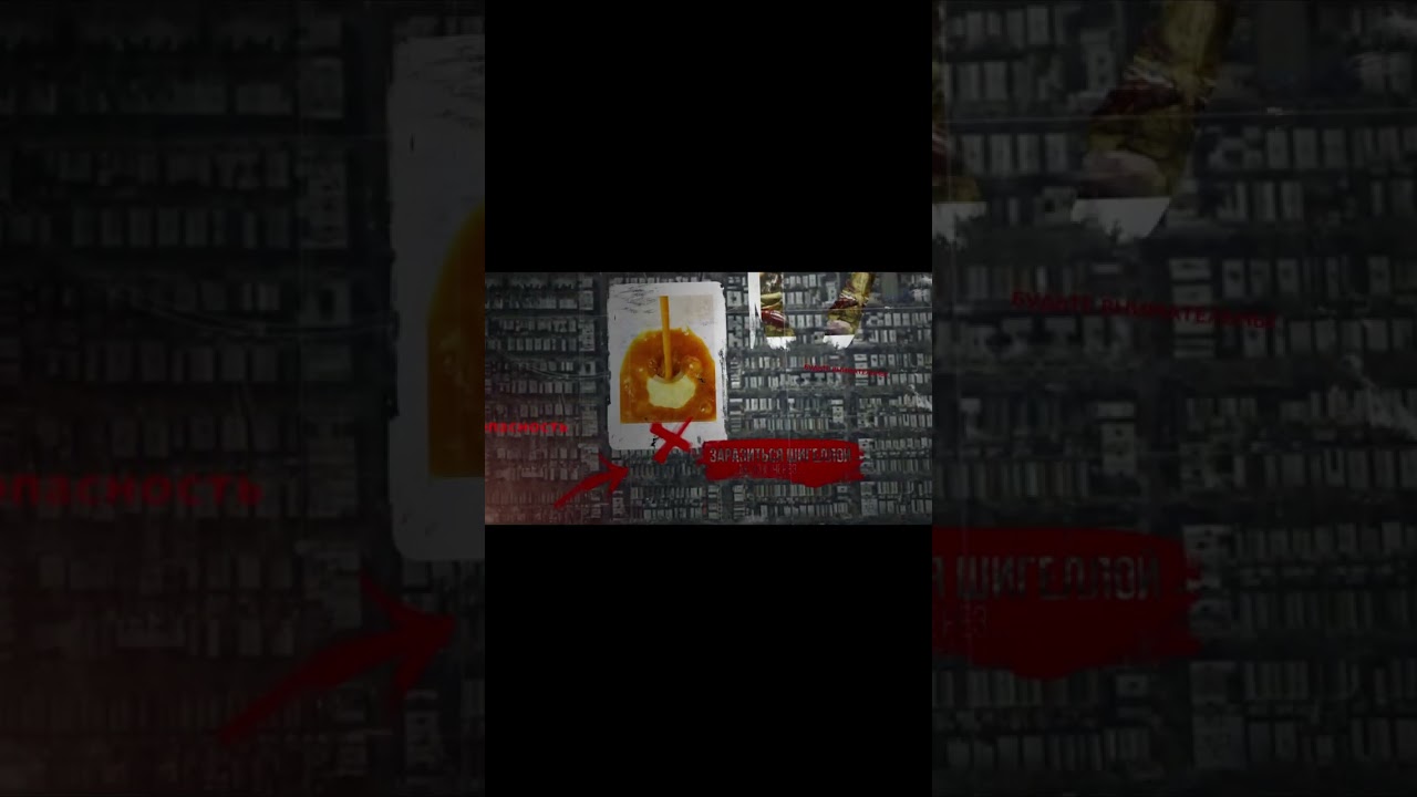 Шигелла  Самые опасные бактерии для человека #shorts #dano