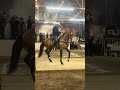 Cuadra el charro de Hermosillo Sonora son Expogan 2026🐴🔥