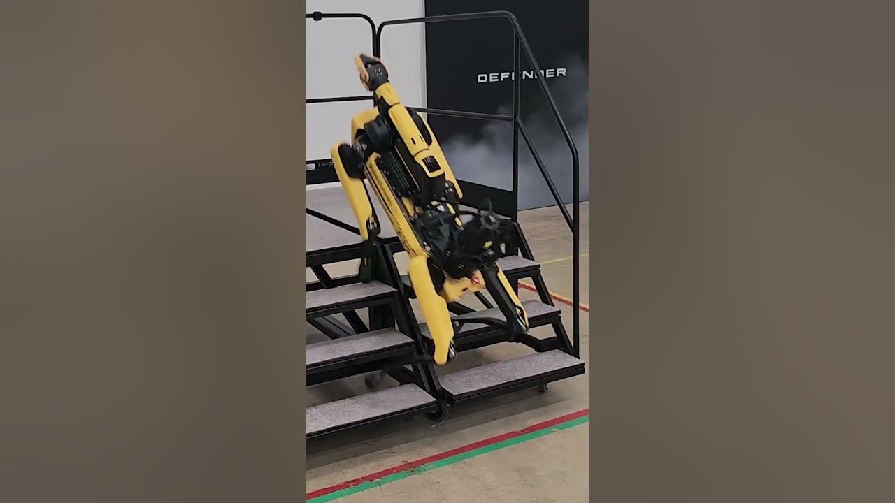 Robot dog takes a tumble 😧