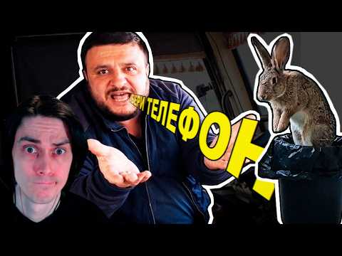 PUT THE PHONE AWAY, WHY ARE THERE RABBITS HERE🐇🐇🐇– WHERE DID THIS MEME COME FROM? - nebudireaction