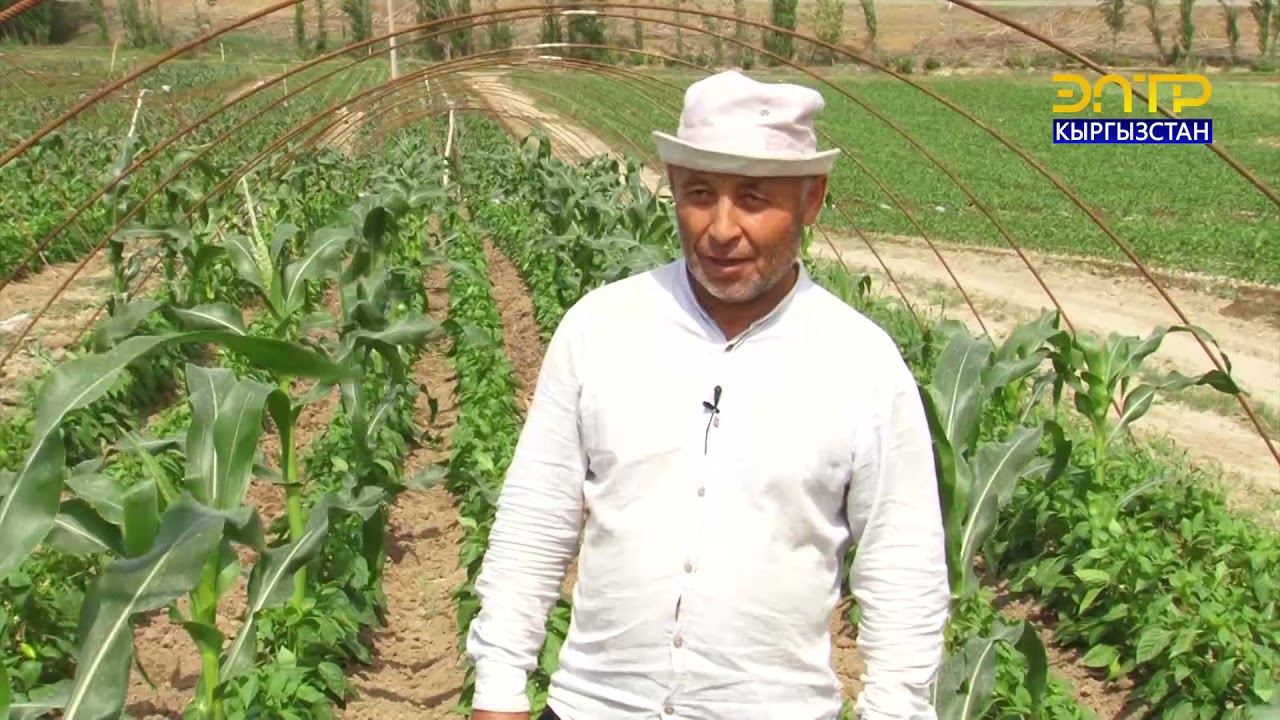 Элет баяны // Бүргөндү, Ноокен