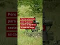 Robots vs. robots: lo que una operación en Ucrania revela sobre las guerras en el futuro