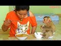 Mom Cooking Noodles And Vegetable For Baby Monkey Kako For Lunch