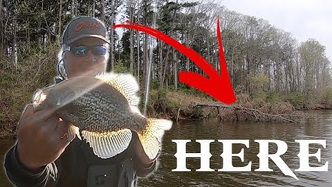 How to Find Spawning Crappie