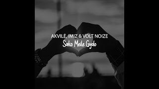 Akvilė - Sako Meilė Gydo (Imiz & Volt Noize Remix) (Lyric Video)