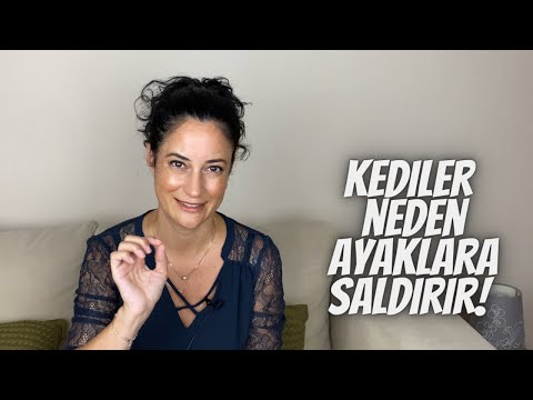 Video: Evcil Hayvan Almanız Gereken 8 Önemli Neden