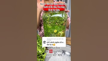 Thoát Vị Đĩa Đệm, Đau Lưng Mỏi Gối, Tê Bì Tay Chân bằng Ngò RÍ, Tiêu Đen ngâm Đường Phèn #mythaoduoc