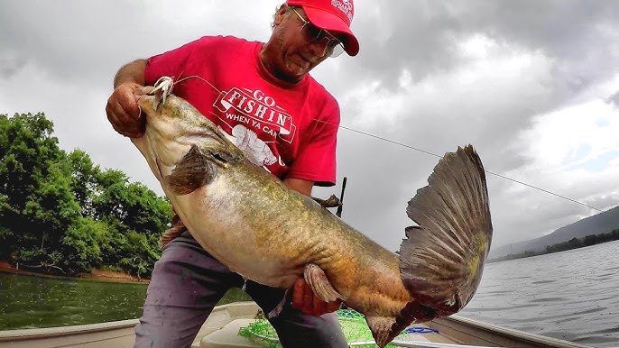 How to Catch Catfish: Best Baits for Big Flatheads - SkyAboveUs