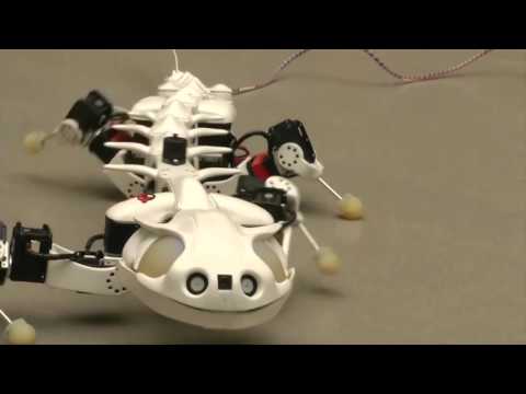 Робот Саламандра. Новинка робототехники. Salamandra robot. Новости робототехники.
