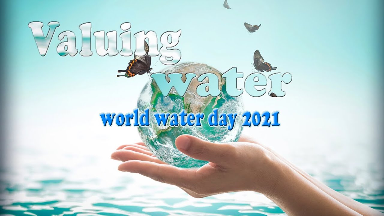 Слушать дай воды. World of Water приложение. World Water Day. How could we reduce Water. How you use a Water a Day.