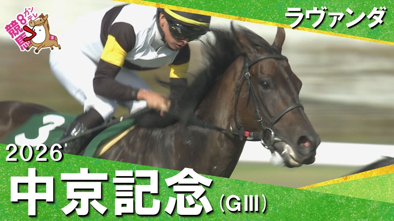 関連動画2