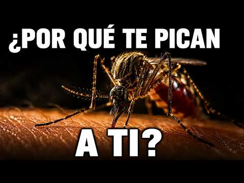 ¿A quién pican más los mosquitos?
