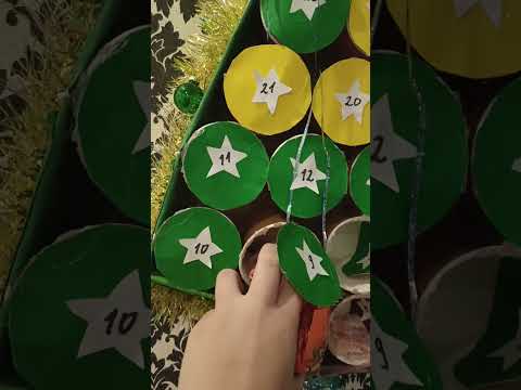 9 декабря. #адвенткалендарь #видео #ксоло #christmas #собаки #шортс #doglover #елка