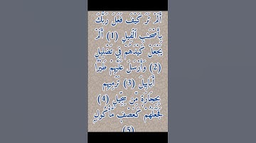 سورة الفيل بصوت القارئ الشيخ أحمد العجمي 📿🤍