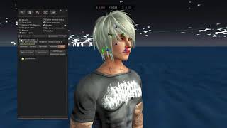 Borrando scripts y prims en second life