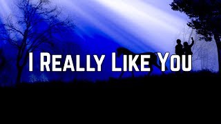 Carly Rae Jepsen - I Really Like You (Lyrics)