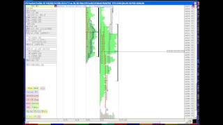 ShadowTrader Video Weekly 06.09.13 - How to buy a low and stay with it