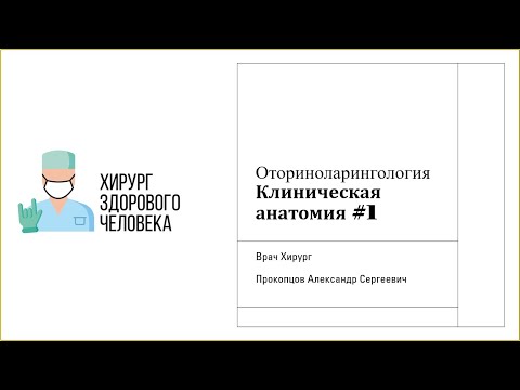 Лор#2. Анатомия носа #1.