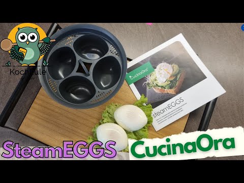 NEU!! steamEGGS von