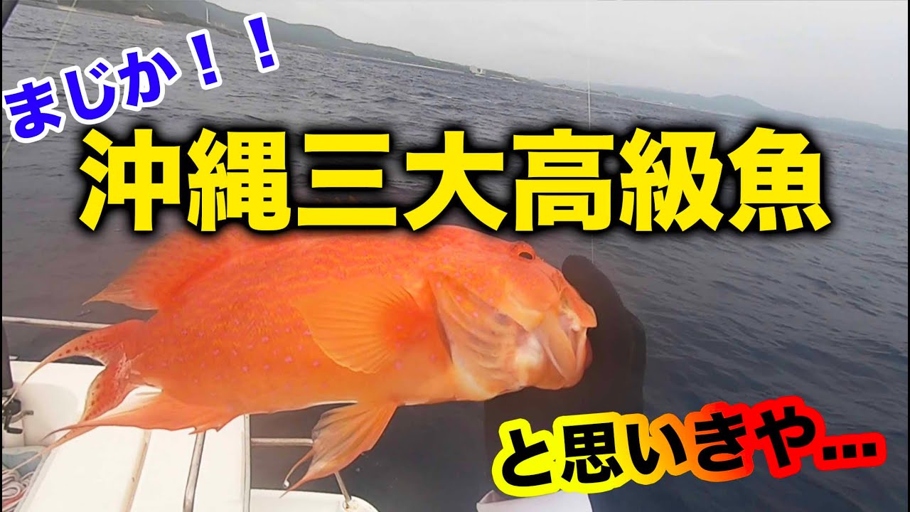 船釣り 沖縄でテンヤ釣り 沖縄三大高級魚が釣れちゃう Youtube