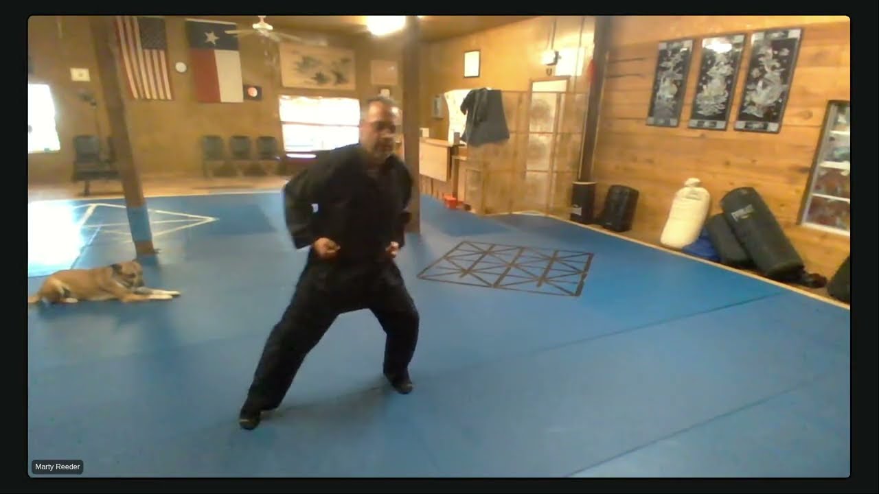 Getting Started in Basic Exercises and Stances Kung Fu San Soo
