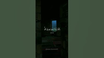 #تلاوات #القارئ #خالد_الجليل #قراءة_خاشعة #القرانالكريم #راحة_نفسية #fypシ #قرآن #reaction #reels