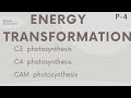 Biology _Energy transformation(C3, C4 and CAM photosynthesis),part 4