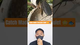 Download Lagu Wait… That’s Not an Eel⁉️ bogalarvebilinmeyenleri MP3