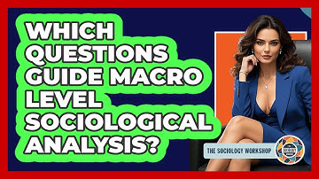 Which Questions Guide Macro Level Sociological Analysis?