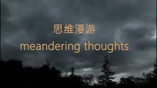 思维漫游398（不同物种的意识进化过程）