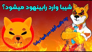 * فوری*  شیبا اینو  وارد رابین هود میشود؟ چه بلایی سر شیبا خواهد آمد؟