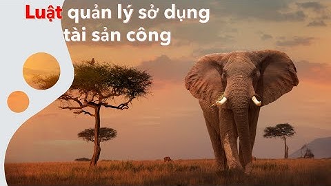 15,LUẬT QUẢN LÝ,SỬ DỤNG TÀI SẢN CÔNG,Chế độ quản lý,xử lý tài sản được xác lập quyền sở hữu toàn dân