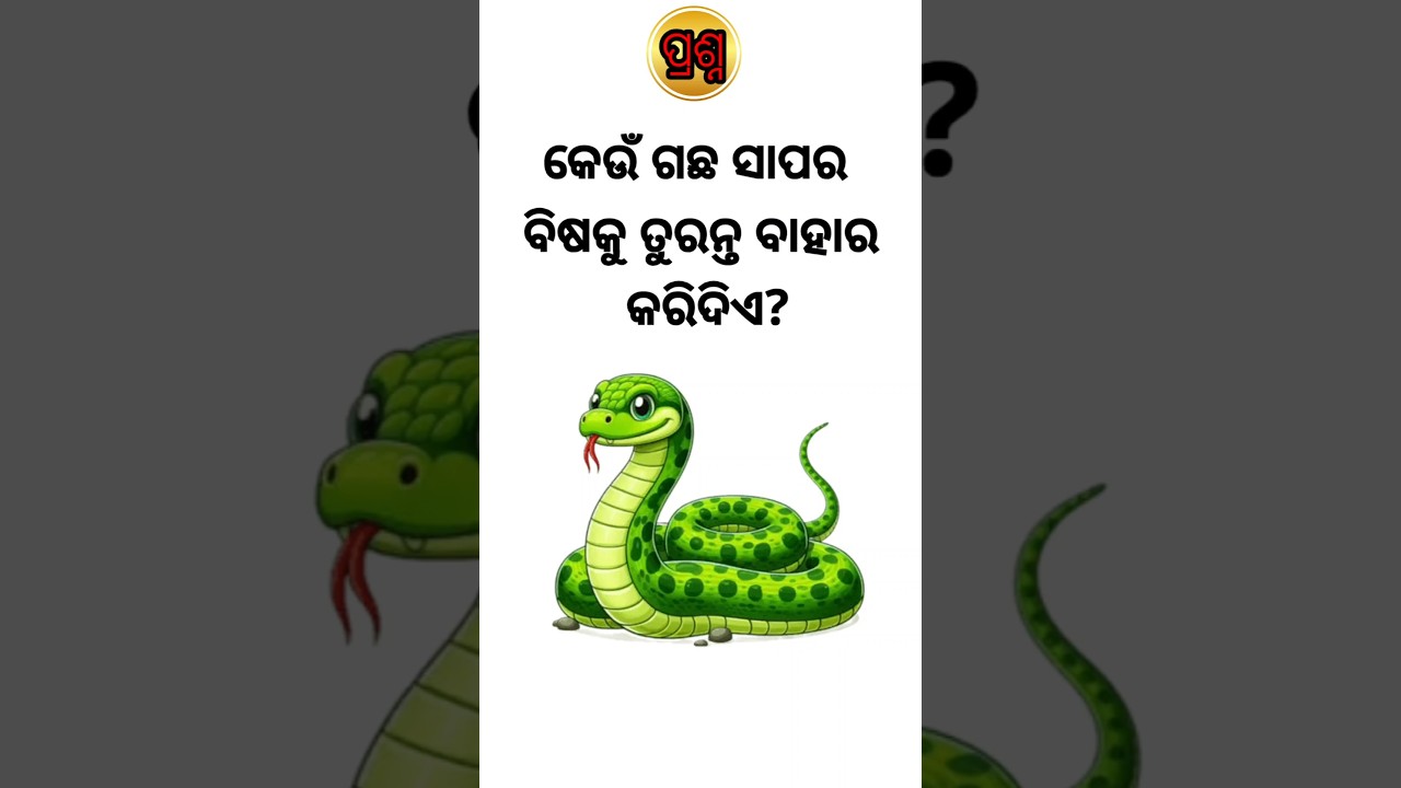 Odia facts video 🔥📚