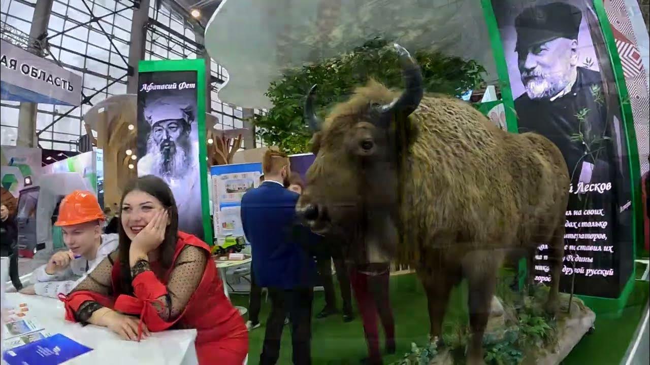 Выставочный павильон вднх экспо. Москва вднх павильон 75. Выставочные залы вднх. Выставочный павильон вднх экспо. Павильон 55 электрификация.