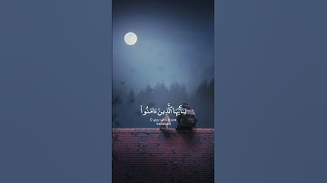 تلاوة هادئة تريح الأعصاب 😴🎧 القارئ : ماهر المعيقلي _ سورة : الأحزاب