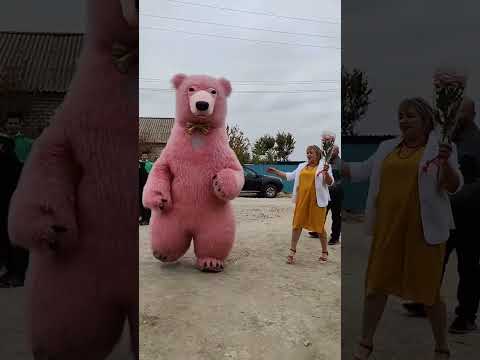 Дарим радость ВСЕМ ЖЕЛАЮЩИМ! Поздравление от белого медведя #медведь #танцы #поздравление