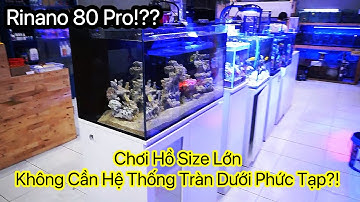 Giờ Đây Bạn Có Thể Chơi Hồ Cá Biển Size 80cm Mà Không Cần Hệ Thống Lọc Tràn Dưới Phức Tạp |Rinano 80