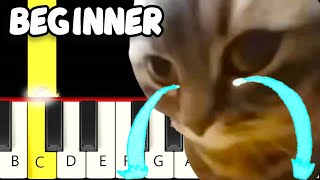 Chipi Chipi Chapa Chapa CRYING - Fast and Slow (Easy) Piano Tutorial - Beginner Resimi