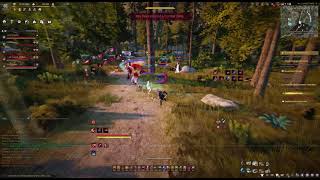 Node war highlights 149 kills [Lahn]