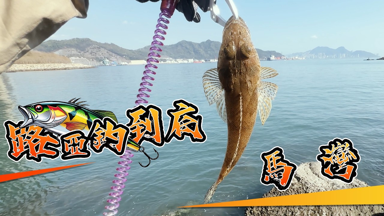 馬灣｜#路亞釣到底｜#路亞｜#假餌｜#釣魚｜#自由釣組｜#根釣｜#香港岸釣｜#lurefishing｜#bfsfishing｜#rockfishing