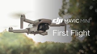 Mavic Mini | How to Fly Mavic Mini