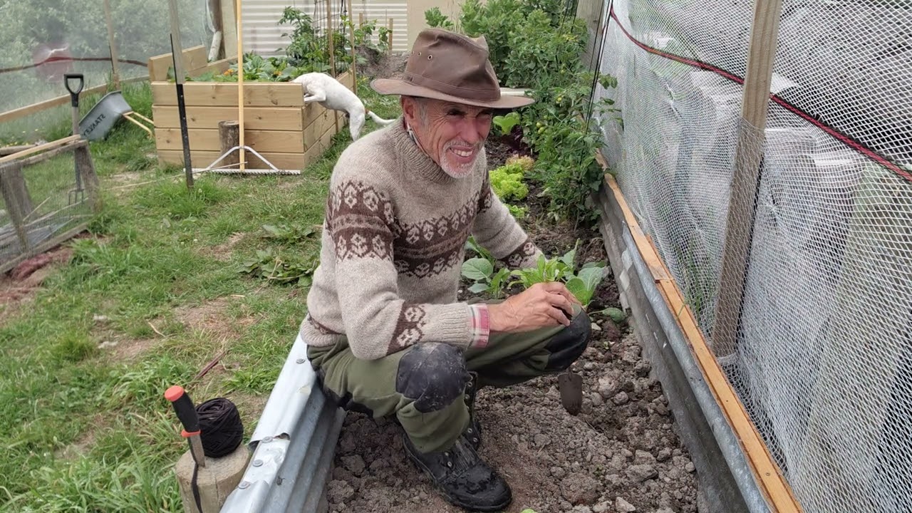 Why I Quit the Keto Diet.