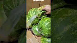 İçinde Sadece Su Olan Karpuz