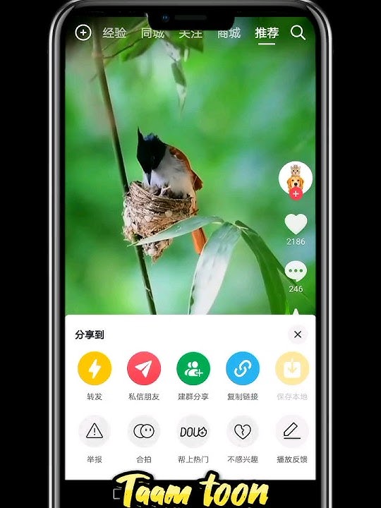 How to download the video from douyin app direct in gallery 💯 🆓 #tech #youtubeshort #viral #taamtoon