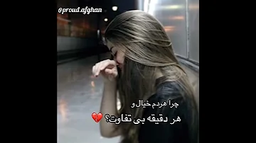 Arezo Nikbin Najawani 