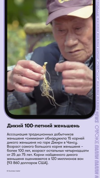 Дикий 100-летний женьшень - YouTube