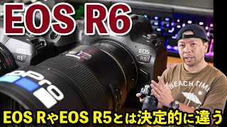 【カメラ】EOS R6は高級感が薄れた高額カメラだけど性能はやっぱり凄いと思いました　「初期感想」