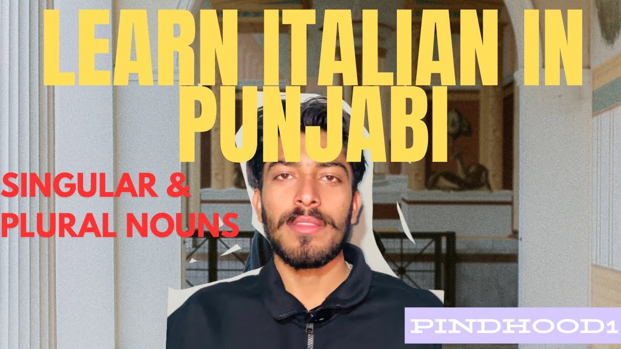 Singular and plural nouns | italian for beginners | learn italian in punjabi # italian #italiaonline