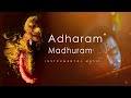 Adharam madhuram  indian classical music instrumental royalty free